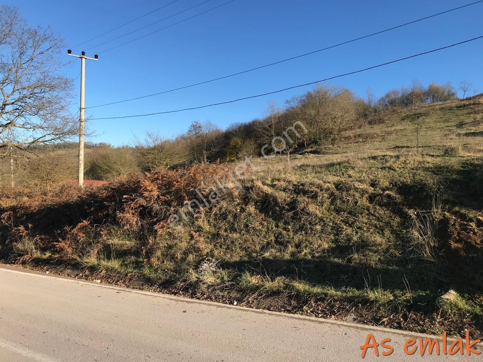 As Emlak Tan Dereköy'de Yola Cepheli Konut İmarlı 929.70m² Arsa - Görsel 5