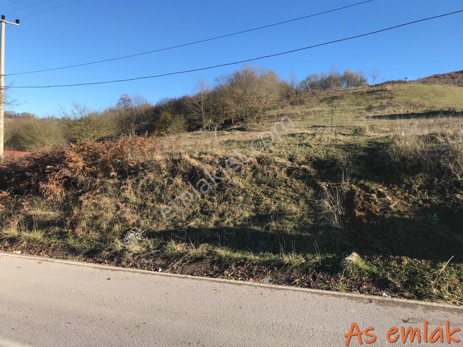 As Emlak Tan Dereköy'de Yola Cepheli Konut İmarlı 929.70m² Arsa - Görsel 12