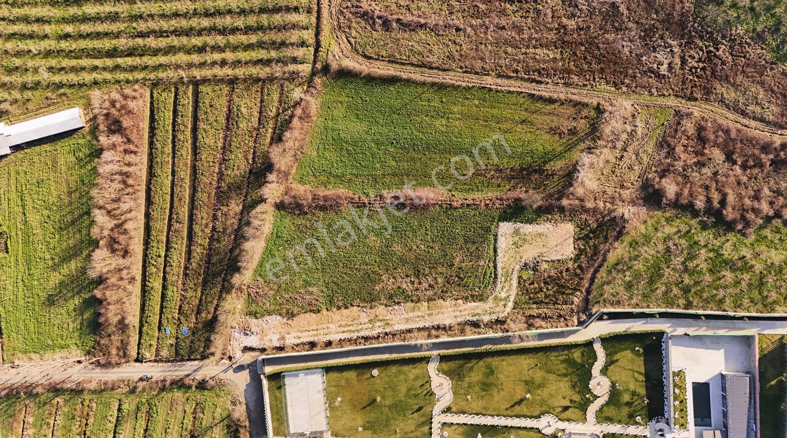 Sakarya Kocaali'de 5134 M2 Tarla, 300 M2 Ahır Ruhsatlı - Görsel 7
