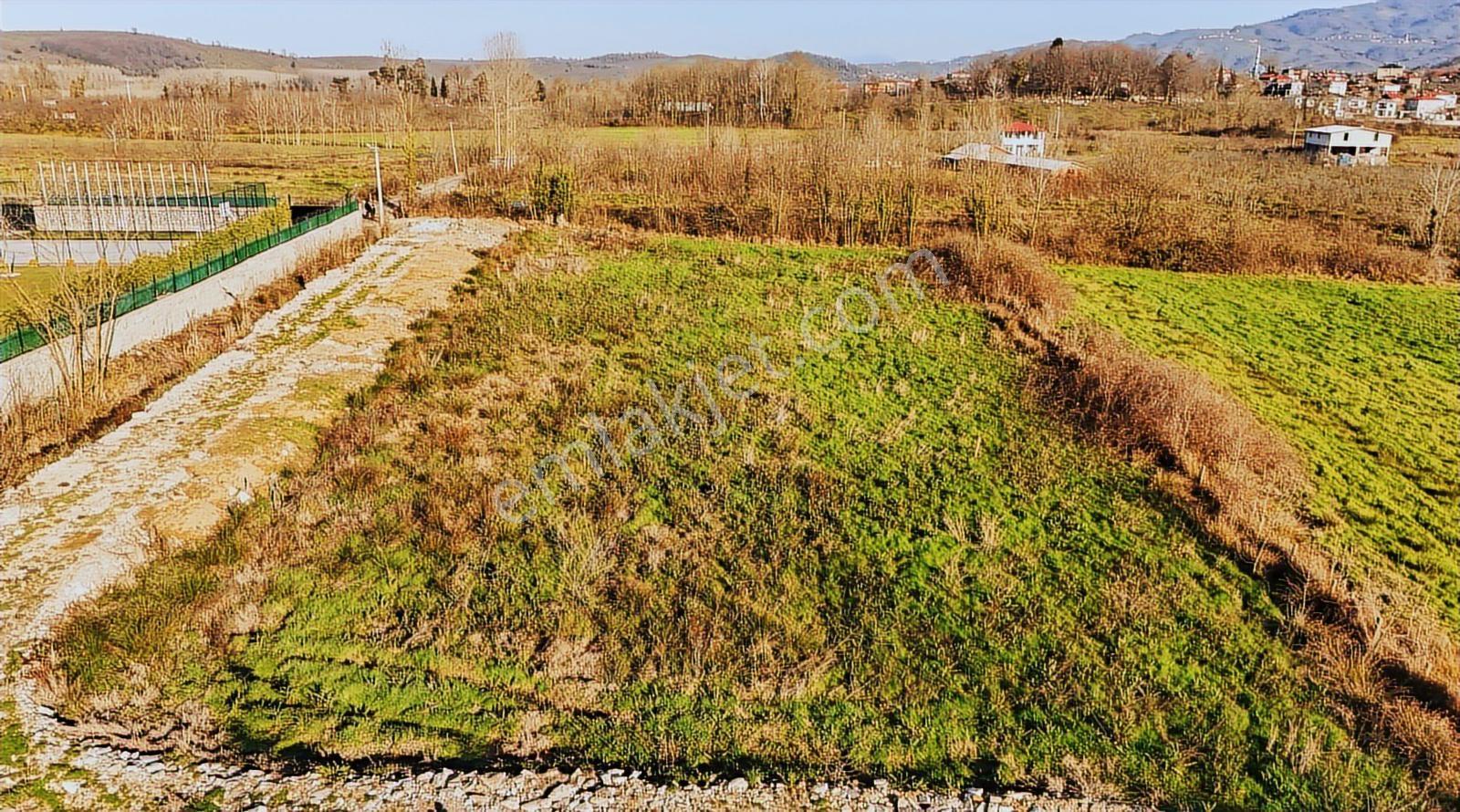 Sakarya Kocaali'de 5134 M2 Tarla, 300 M2 Ahır Ruhsatlı - Görsel 14