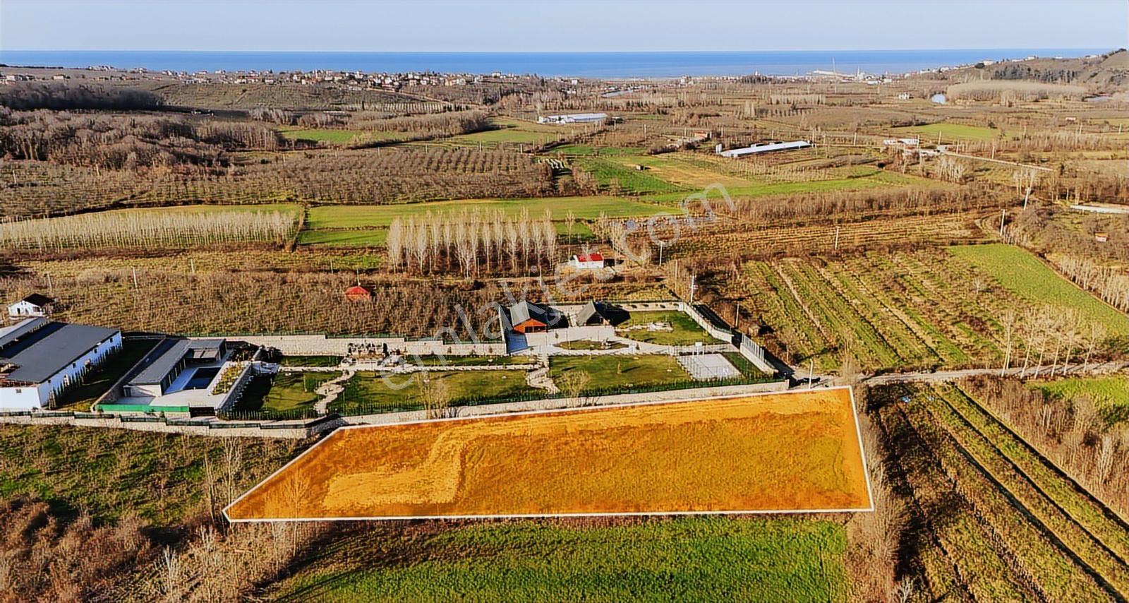 Sakarya Kocaali'de 5134 M2 Tarla, 300 M2 Ahır Ruhsatlı - Görsel 2