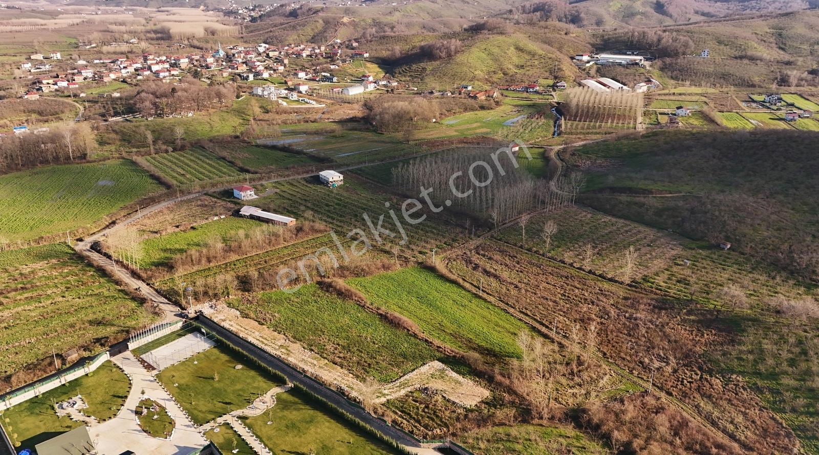 Sakarya Kocaali'de 5134 M2 Tarla, 300 M2 Ahır Ruhsatlı - Görsel 12