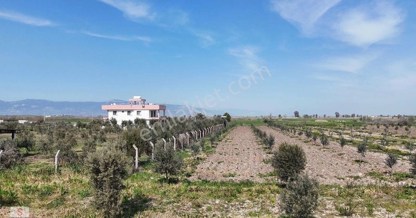 Akyeniköyde 15.600 Metre Emsalsiz Fiyat Tarla Su Kuyusu Var