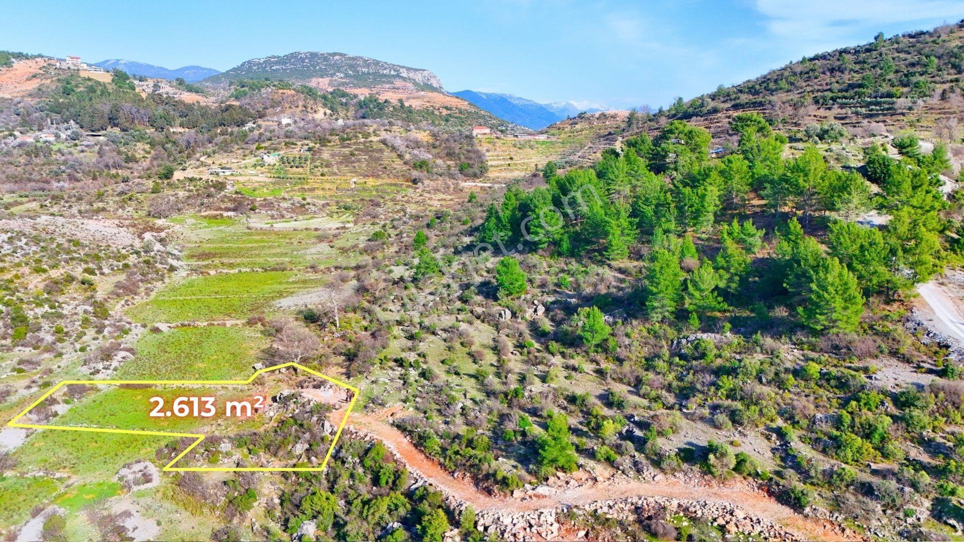 Gözübüyükde 2.613 M² Satılık Arazi - Görsel 2