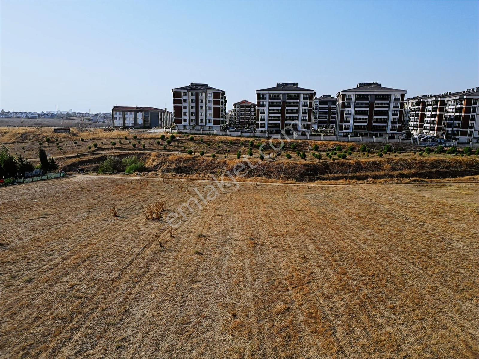 Çorlu Park Orman Karşısı İmarın Dibi 11.950 M² Yatırımlık Tarla!