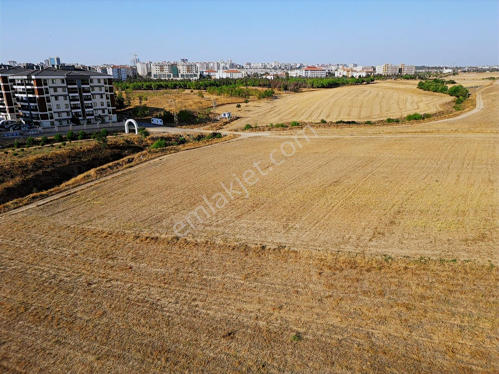 Çorlu Park Orman Karşısı İmarın Dibi 11.950 M² Yatırımlık Tarla! - Görsel 4