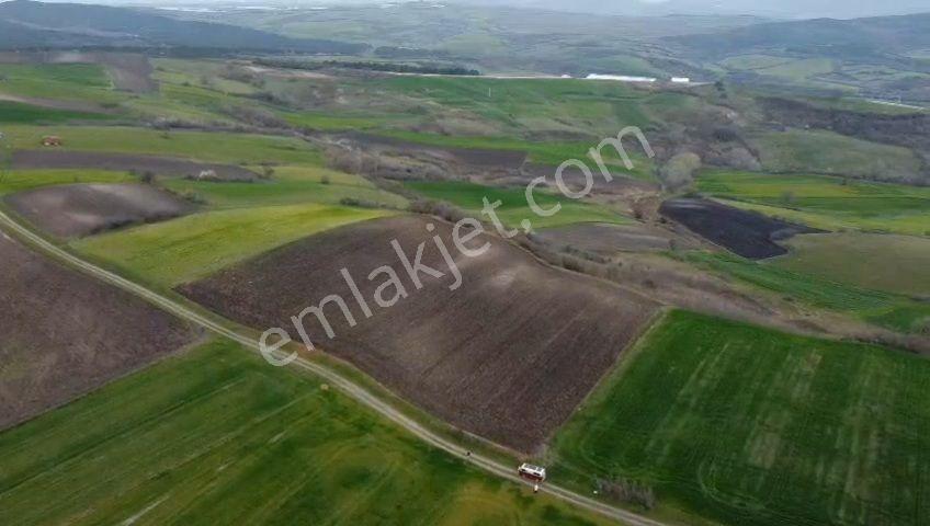 Öztarlacıdan Kosova Satılık Arazi 3480 M2 - Görsel 5
