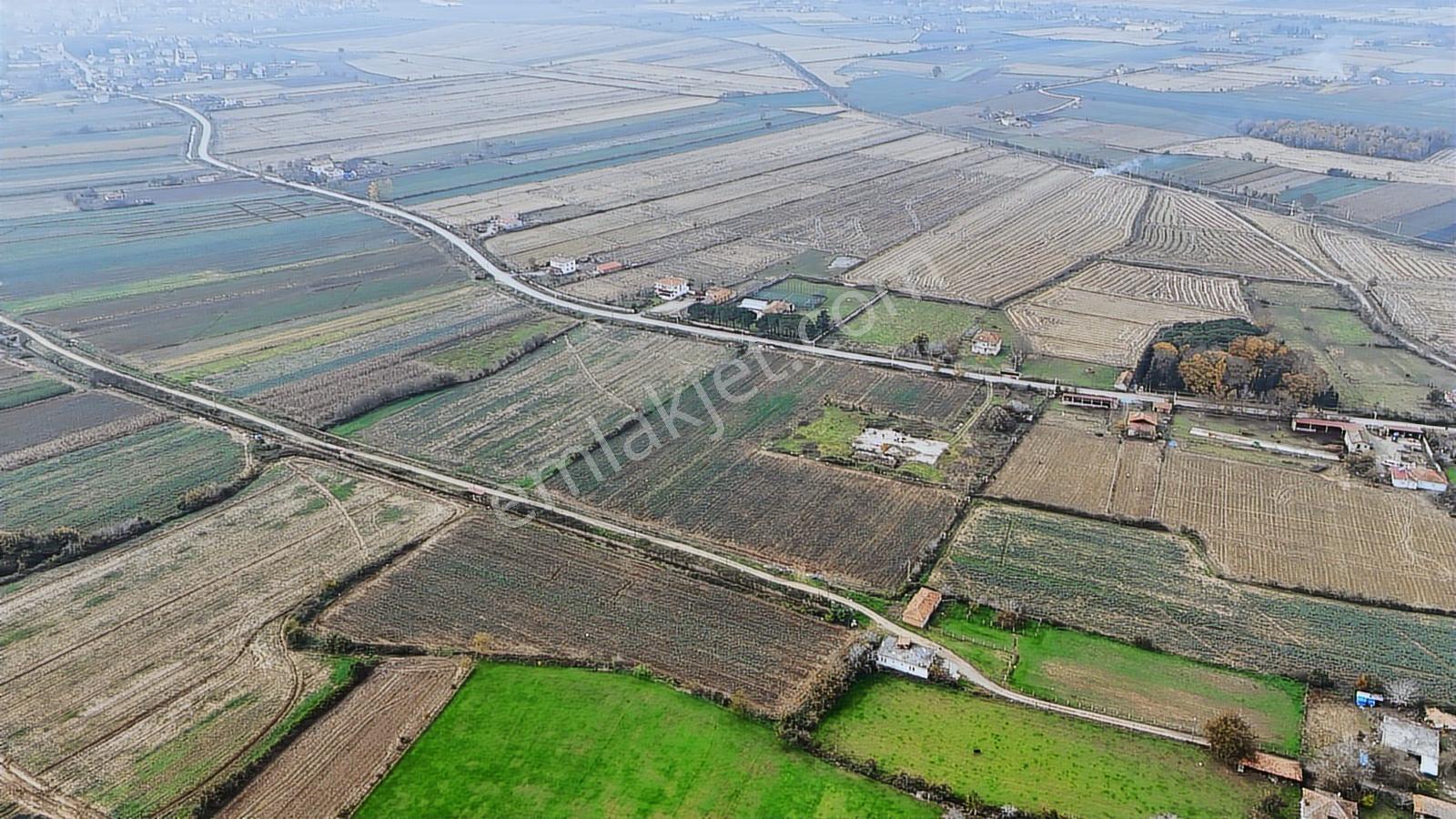 Bafra Vıp Gayrımenkul'den Balıklar Mah. 38,082 M2 Satılık Tarla! - Görsel 8