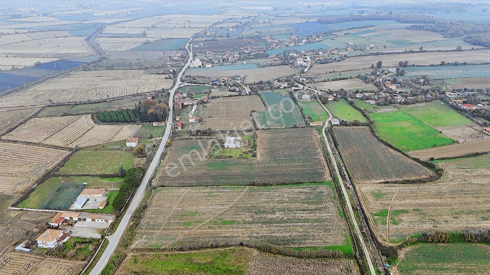 Bafra Vıp Gayrımenkul'den Balıklar Mah. 38,082 M2 Satılık Tarla! - Görsel 12