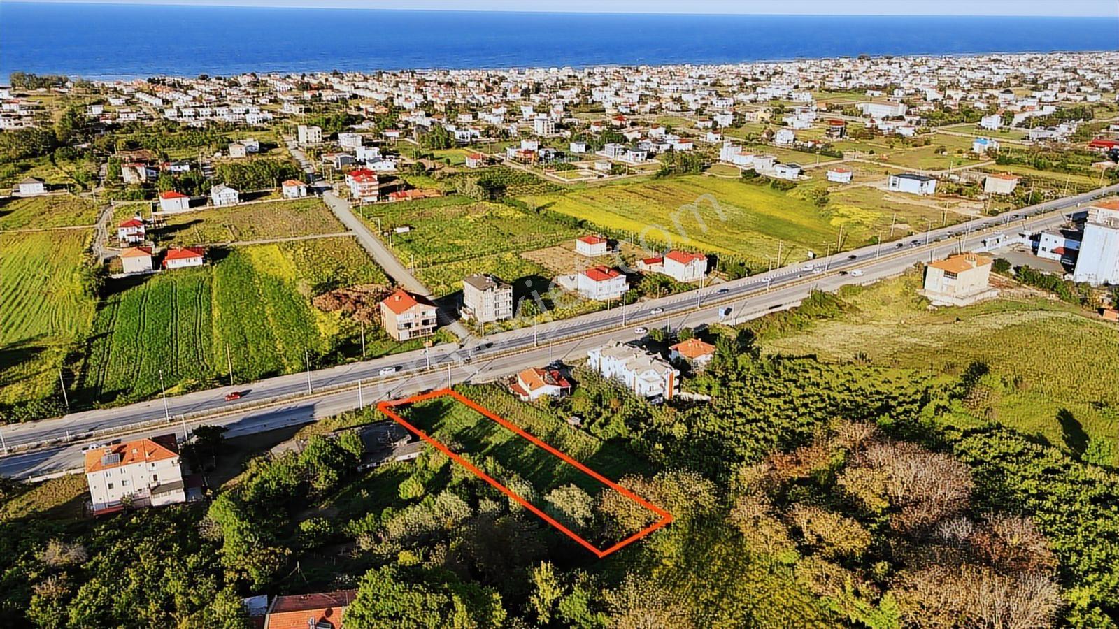 Bafra Vip Gayrimenkulde 19 Mayısta Yol Kenarında Satılık Tarla - Görsel 3