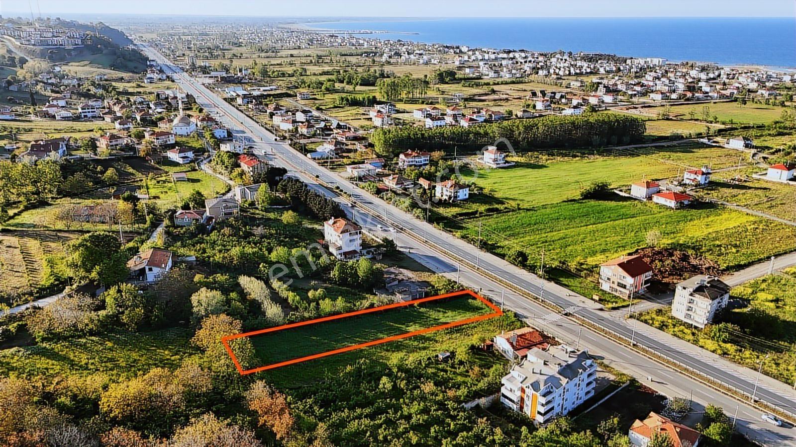 Bafra Vip Gayrimenkulde 19 Mayısta Yol Kenarında Satılık Tarla - Görsel 2