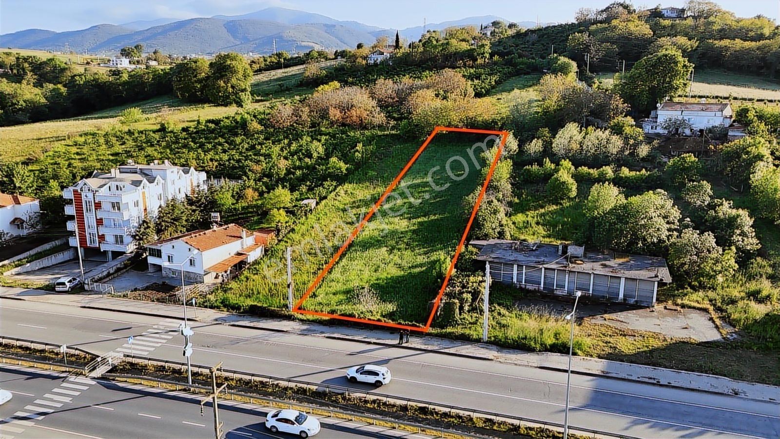 Bafra Vip Gayrimenkulde 19 Mayısta Yol Kenarında Satılık Tarla