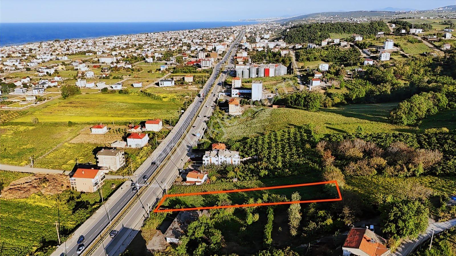 Bafra Vip Gayrimenkulde 19 Mayısta Yol Kenarında Satılık Tarla - Görsel 4