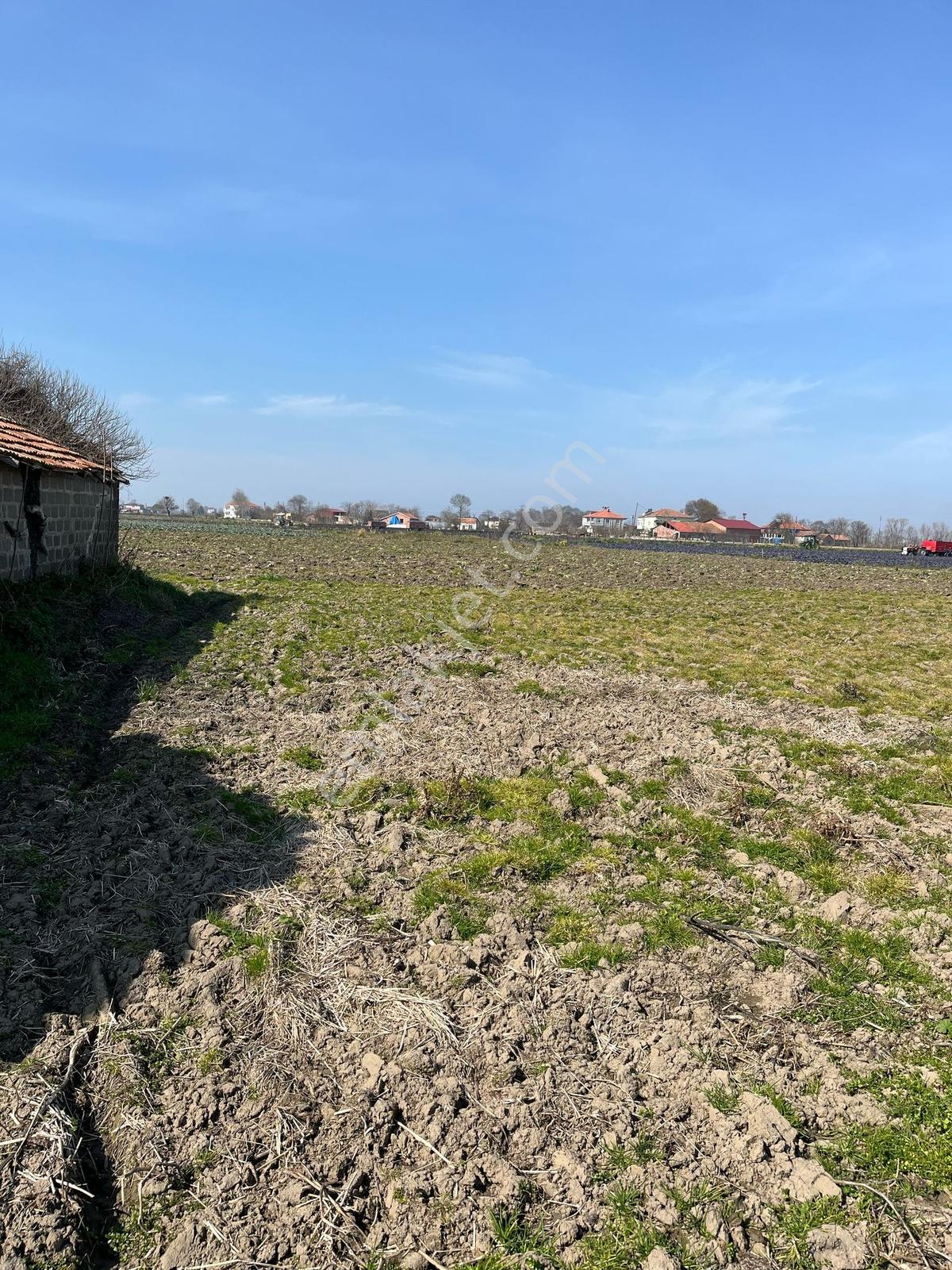 Vıp Gayrimenkulden Koşuköyünde Satılık 32.000m2 Tarla - Görsel 8
