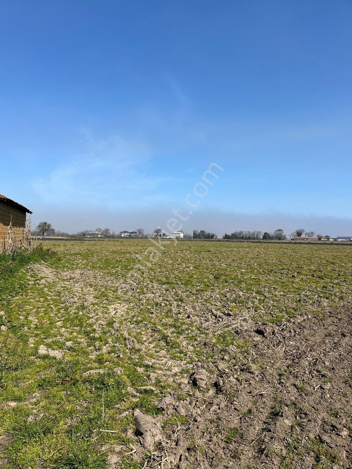Vıp Gayrimenkulden Koşuköyünde Satılık 32.000m2 Tarla - Görsel 9