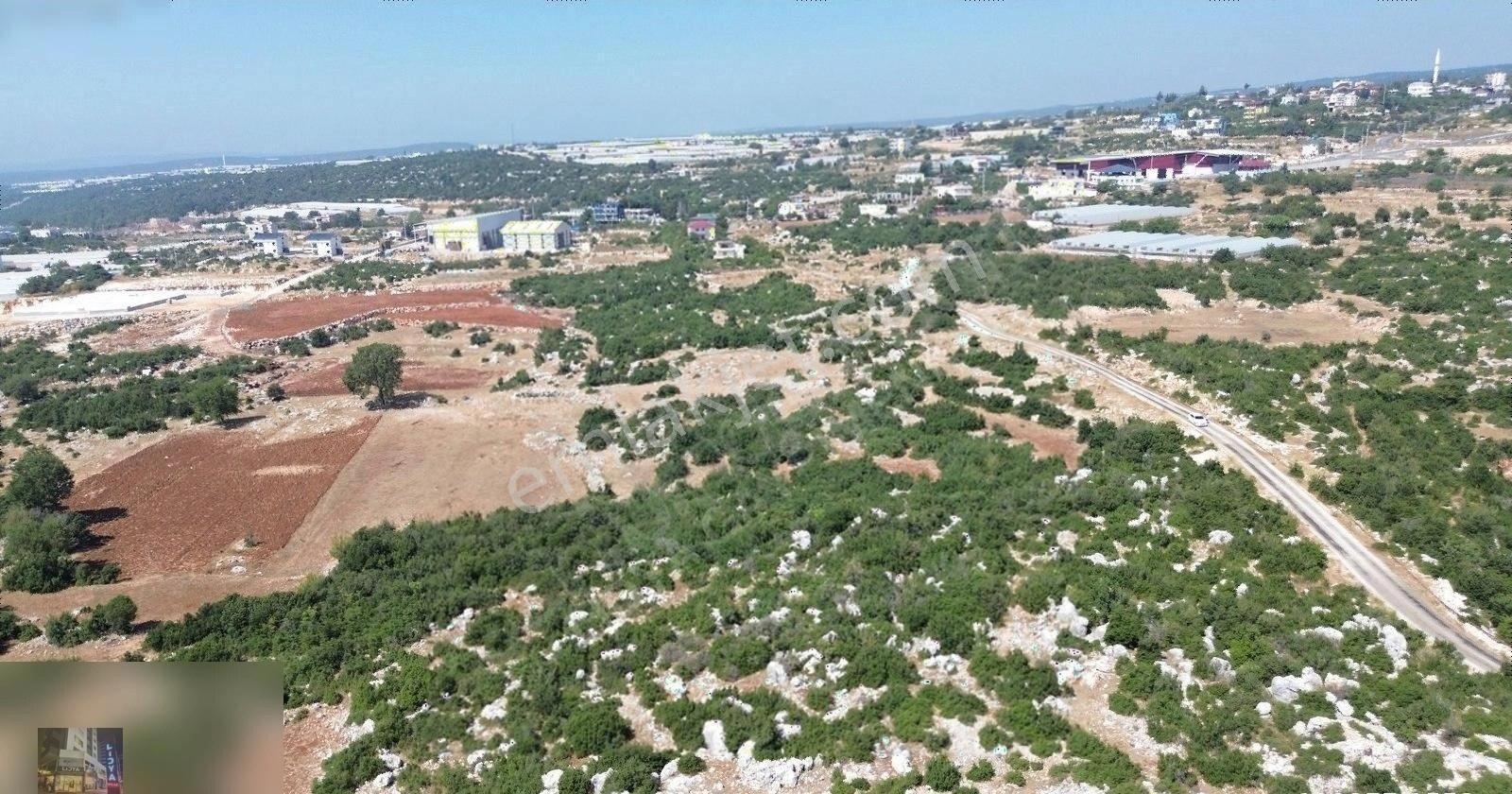 Aslanlı Mahallesinde 8.840 M2 Villa Ve Depoya Uygun Satılık Arsa - Görsel 17
