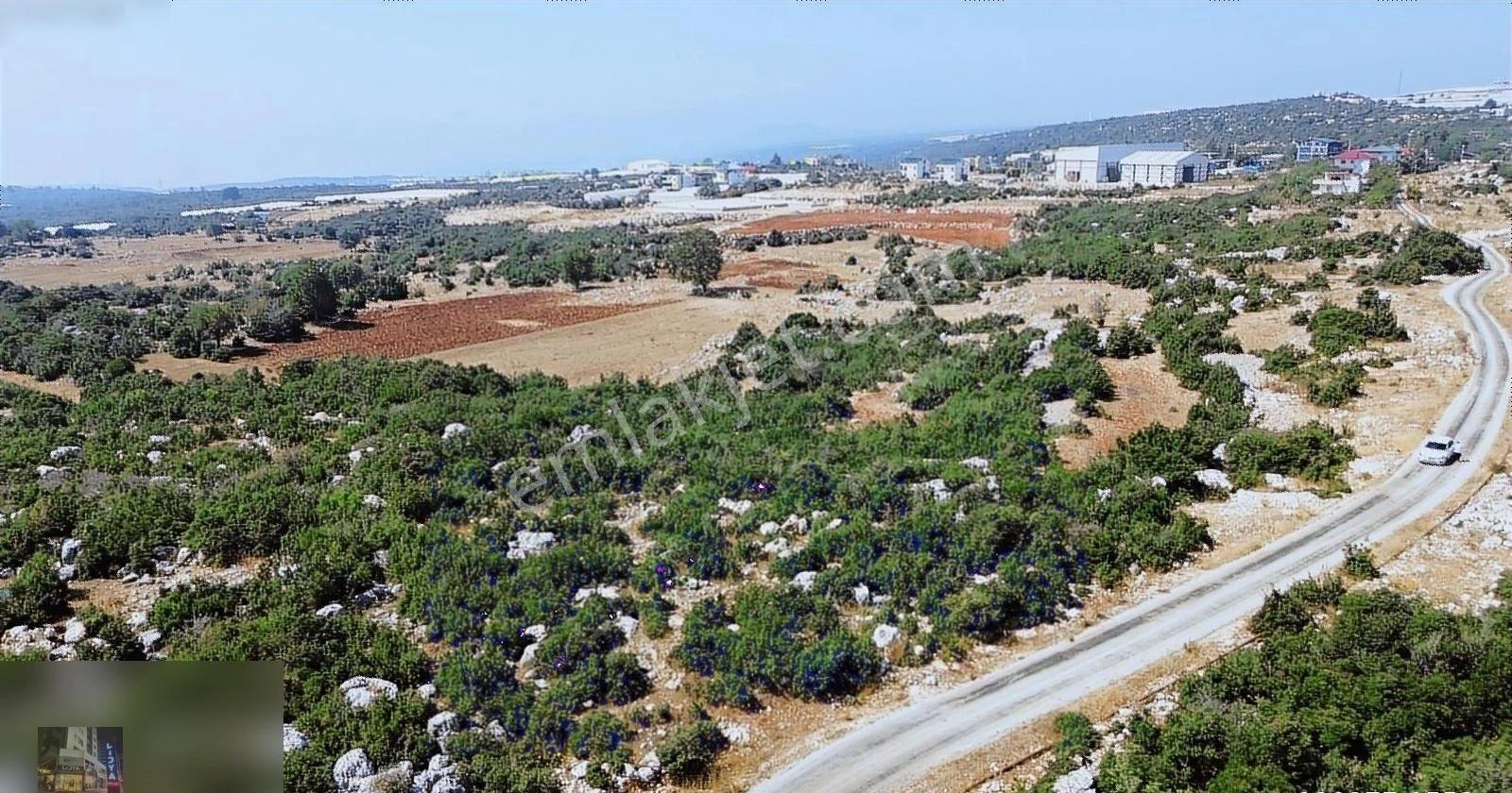 Aslanlı Mahallesinde 8.840 M2 Villa Ve Depoya Uygun Satılık Arsa - Görsel 3