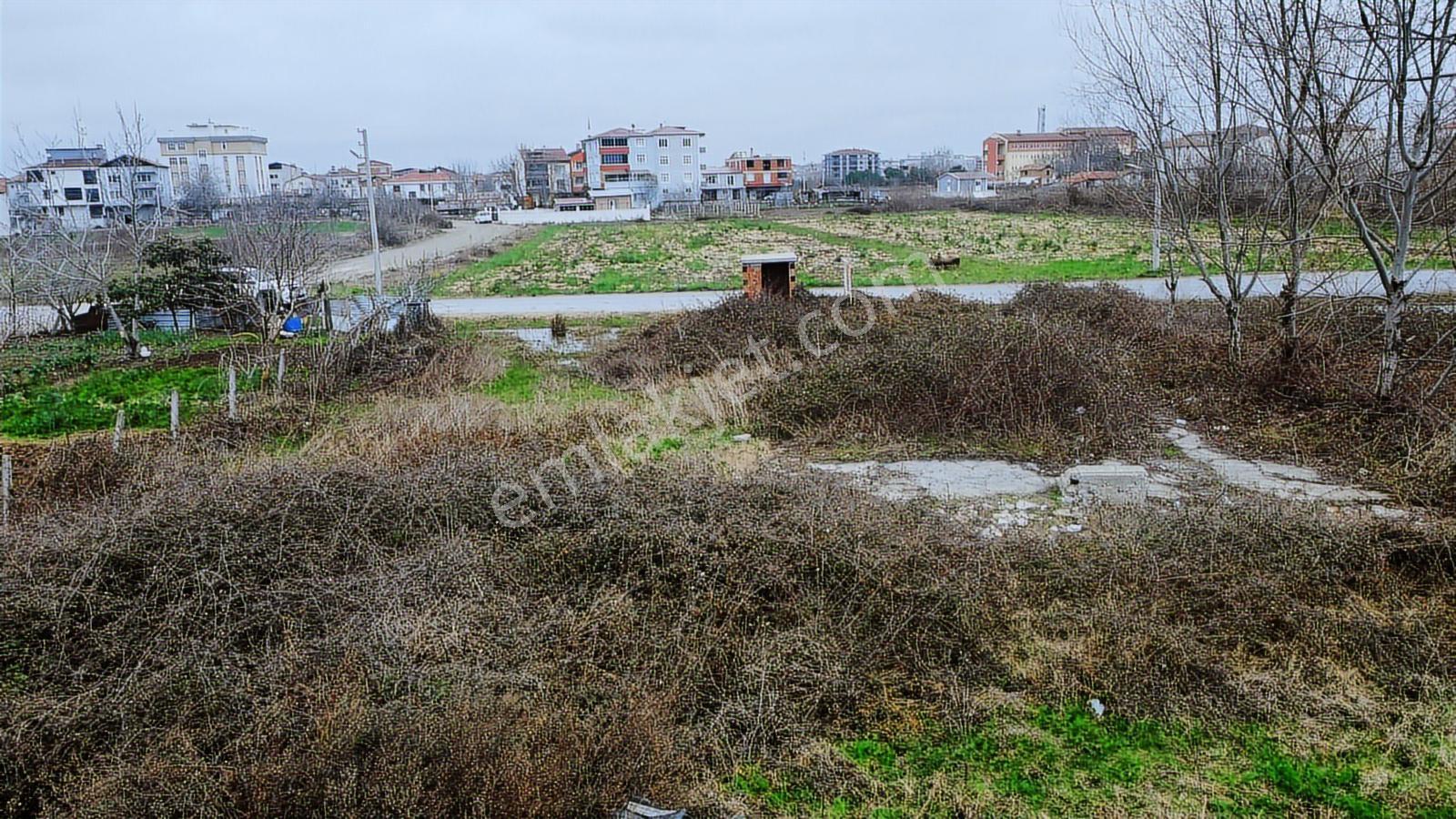 Bafra Vıp Gym.den Alparslan Mah. 295m2 5 Kat İmarlı Satılık Arsa - Görsel 15