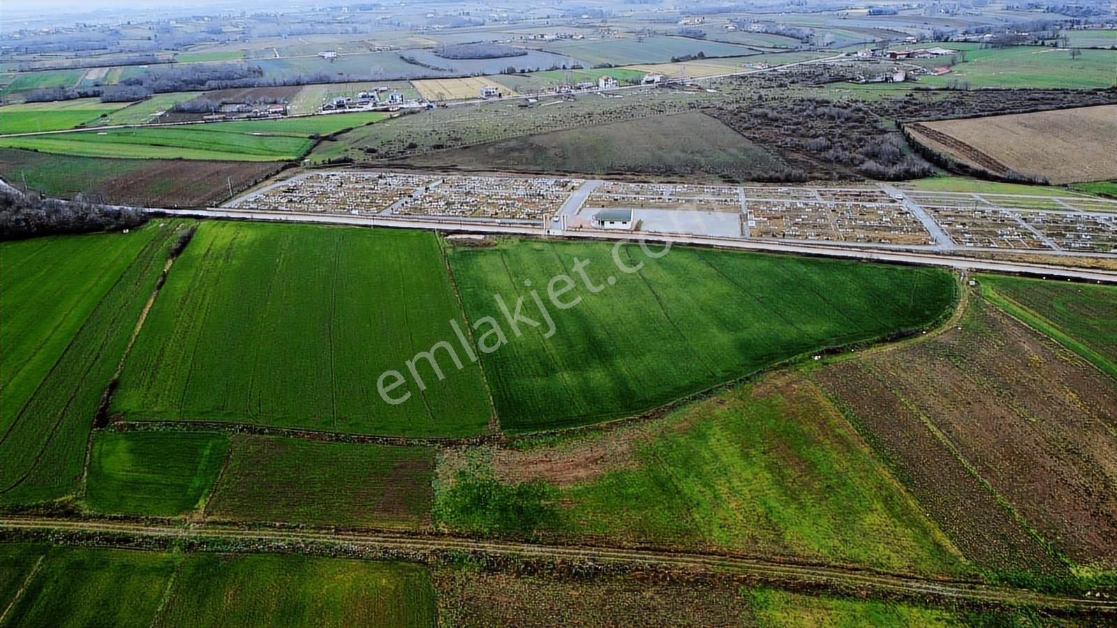 Bafra Vıp Gym.den Yakıntaş Köyünde 36.984m2 Satılık Tarla - Görsel 15
