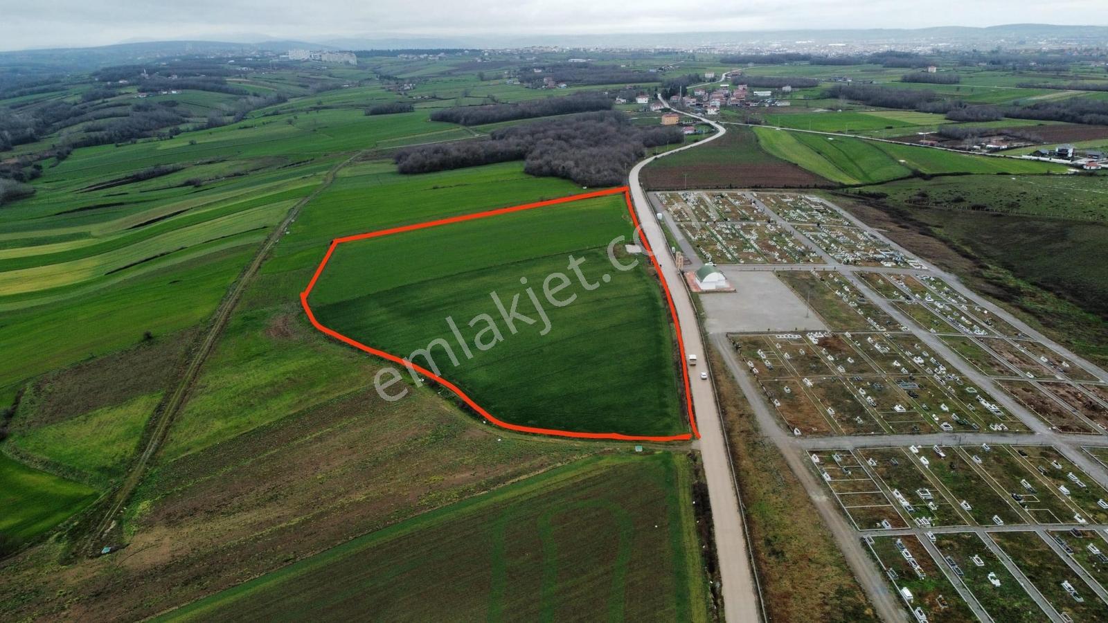 Bafra Vıp Gym.den Yakıntaş Köyünde 36.984m2 Satılık Tarla - Görsel 12