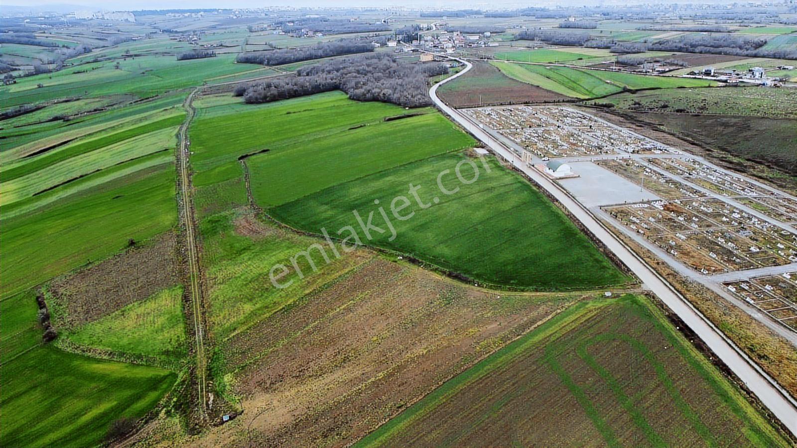 Bafra Vıp Gym.den Yakıntaş Köyünde 36.984m2 Satılık Tarla - Görsel 3