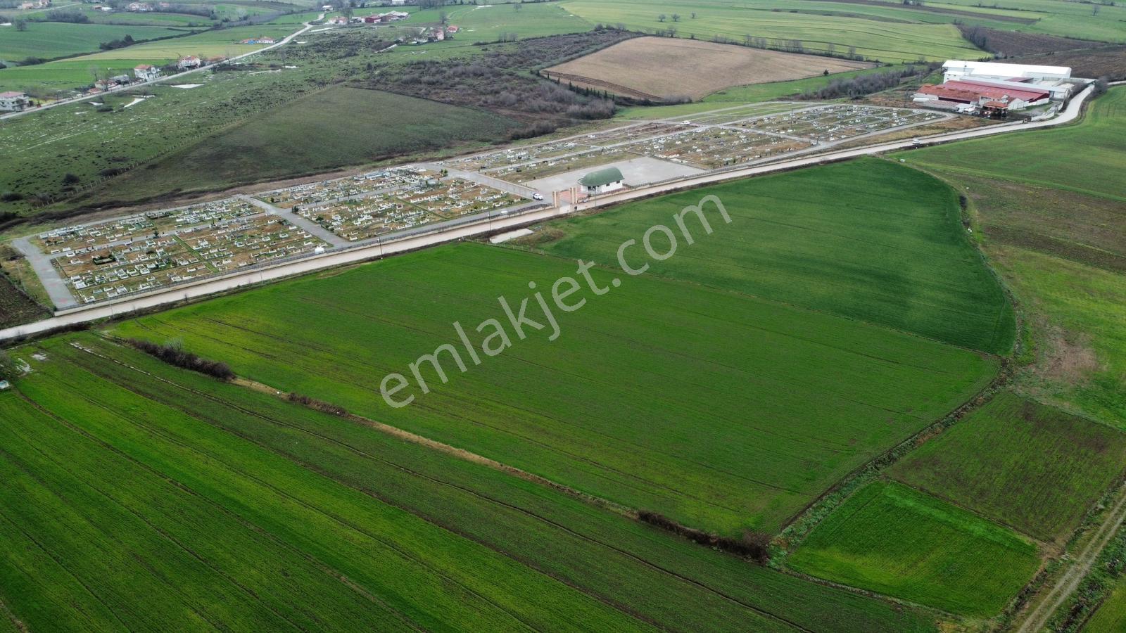 Bafra Vıp Gym.den Yakıntaş Köyünde 36.984m2 Satılık Tarla - Görsel 14