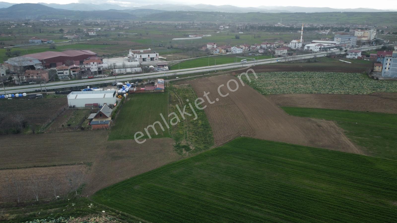 Bafra Vıp Gym.den Çetinkaya Mah. 2.654m2 Satılık Tarla - Görsel 8