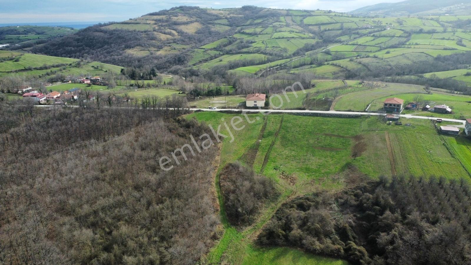Bafra Vıp Gym.den 19 Mayıs Esentepe Mah. 29.530m2 Satılık Tarla - Görsel 7