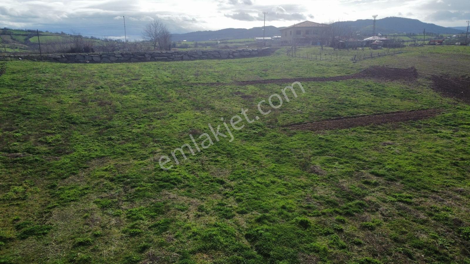 Bafra Vıp Gym.den 19 Mayıs Esentepe Mah. 29.530m2 Satılık Tarla - Görsel 12