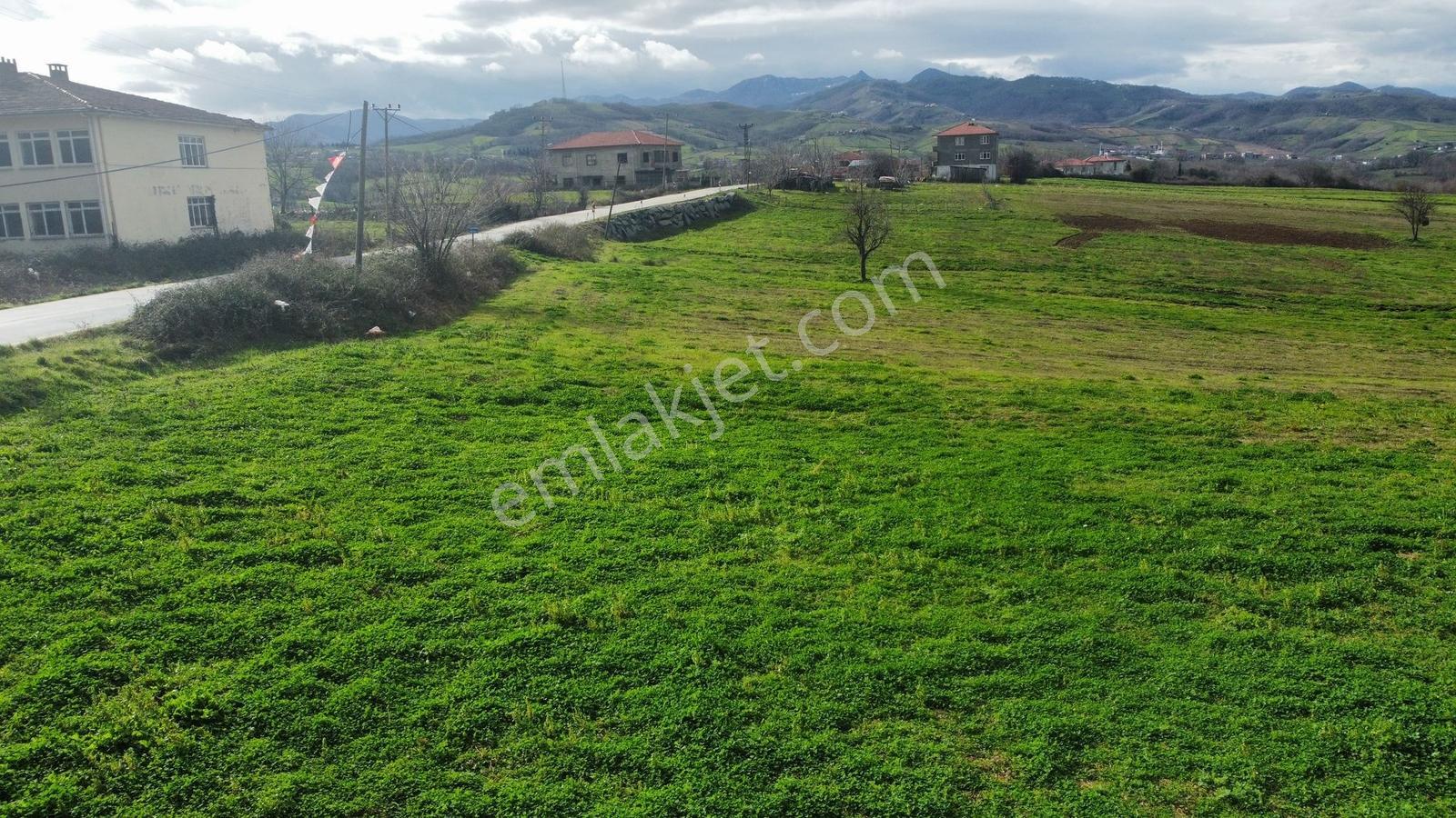 Bafra Vıp Gym.den 19 Mayıs Esentepe Mah. 29.530m2 Satılık Tarla - Görsel 4