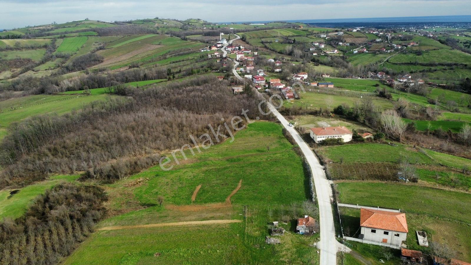 Bafra Vıp Gym.den 19 Mayıs Esentepe Mah. 29.530m2 Satılık Tarla - Görsel 10
