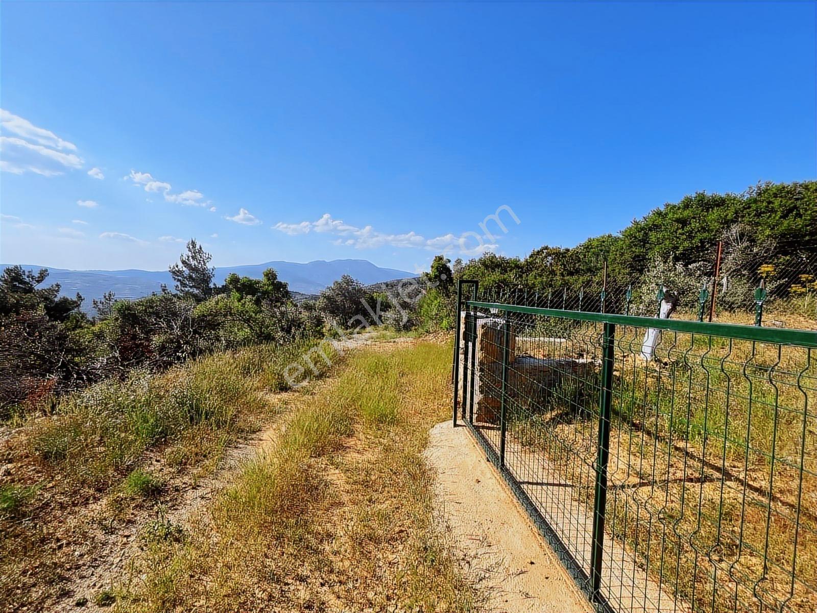 Torbalı Dirmil Mah 2080m2 Mirastan Bölünme Satılık Zeytinlik - Görsel 16