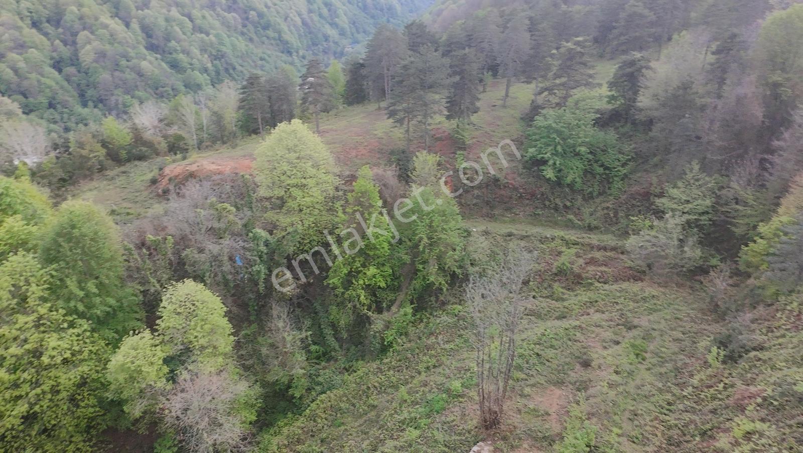 Turyap'tan Sapanca Mahmudiye'de Cazip Fiyata İmarlı Kupon Arsa - Görsel 18