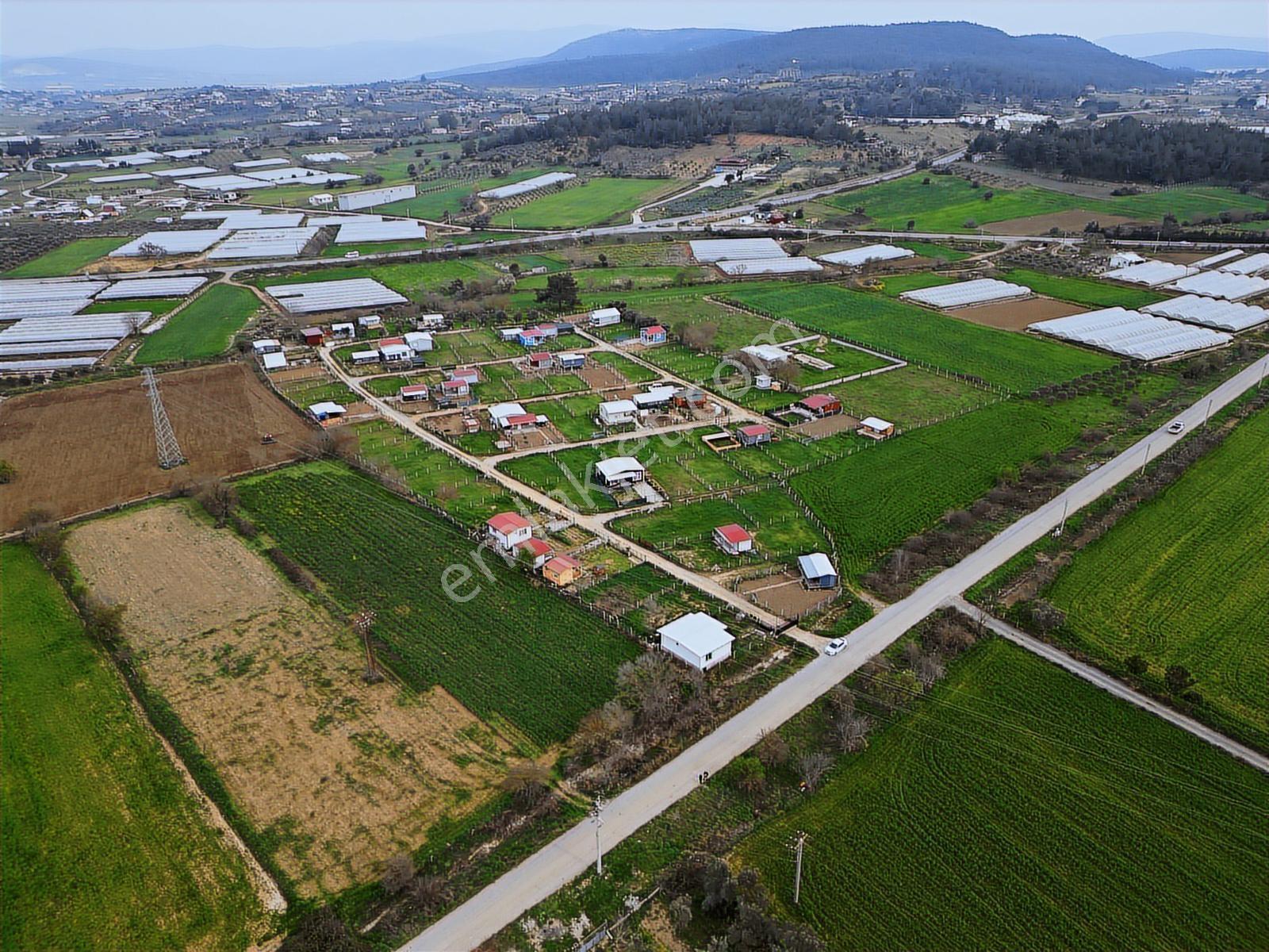 Q'zen Den Değirmendrede Cadde Cepheli 2800 M2 Atadan Hisse Tarla - Görsel 10