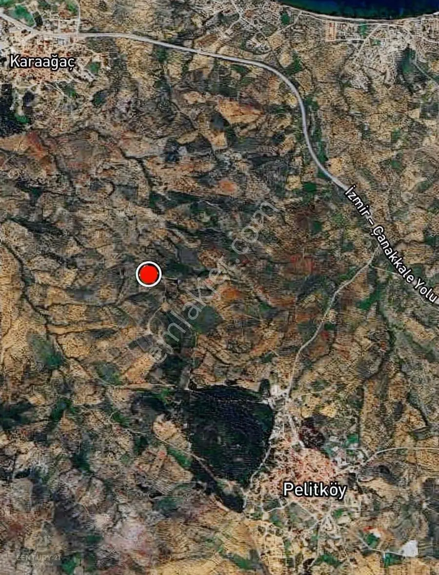 C21 Bal Dan Gömeç Karaağaçta Satılık 4661 M2 Zeytinlik - Görsel 5