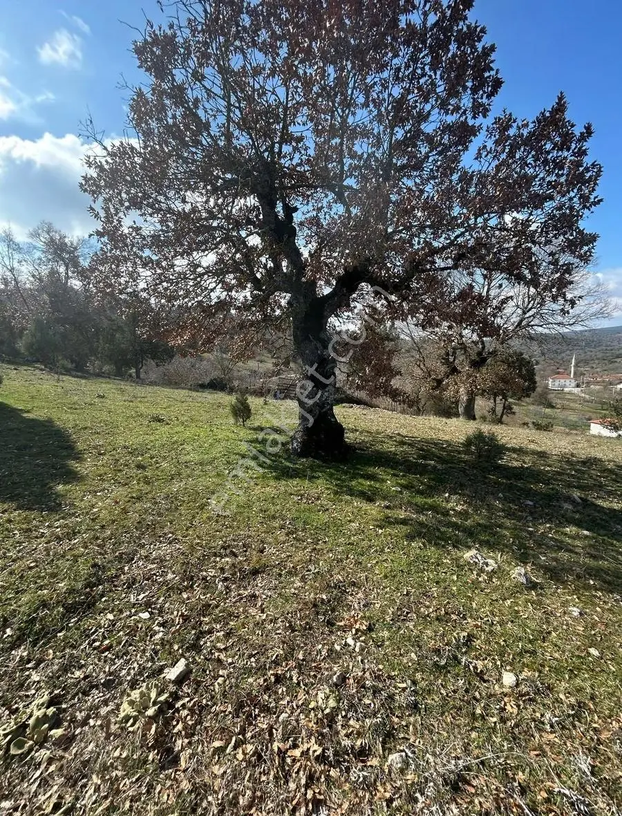 C21'dan Dursunbey Karapınar Satılık Arsa - Görsel 5