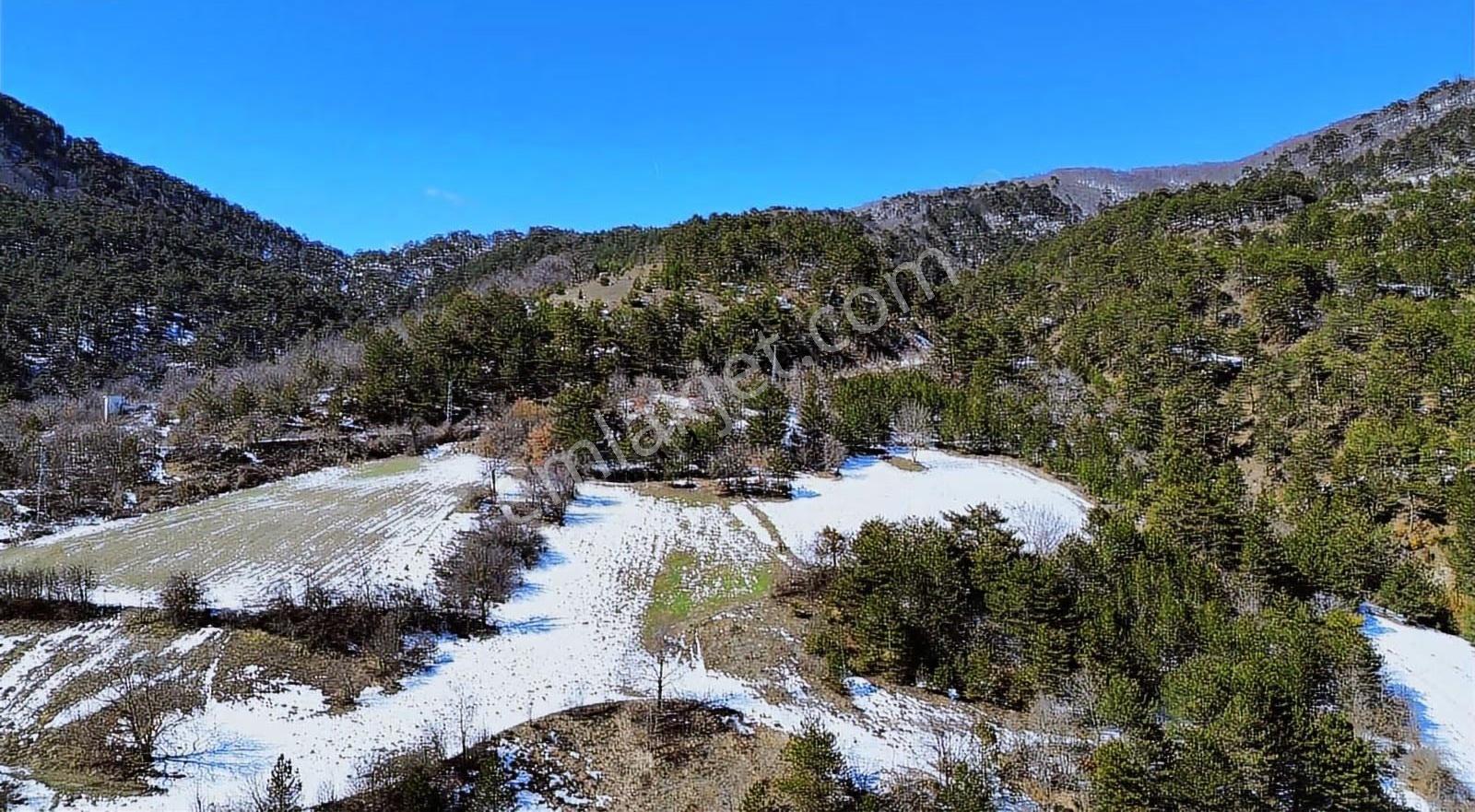 Göynük Çubuk Köyünde Göl Manzaralı 1458 M2 Satılık Arazi - Görsel 3