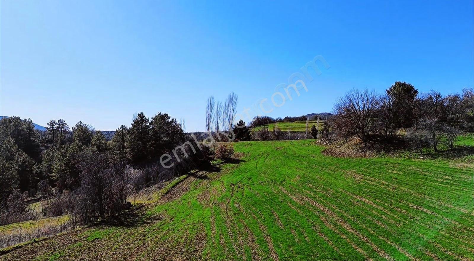 Göynük Dağşehleri Köyünde Köy Yanı 3852 M2 Satılık Arazi - Görsel 4
