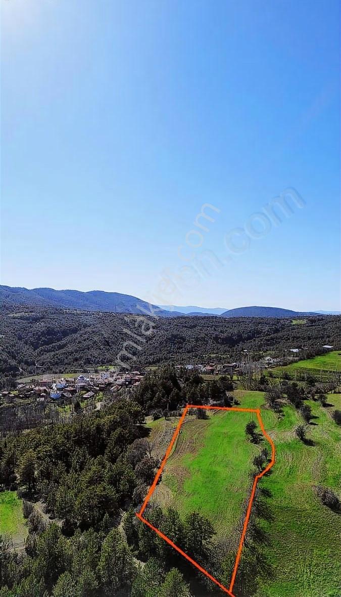 Göynük Dağşehleri Köyünde Köy Yanı 3852 M2 Satılık Arazi - Görsel 2