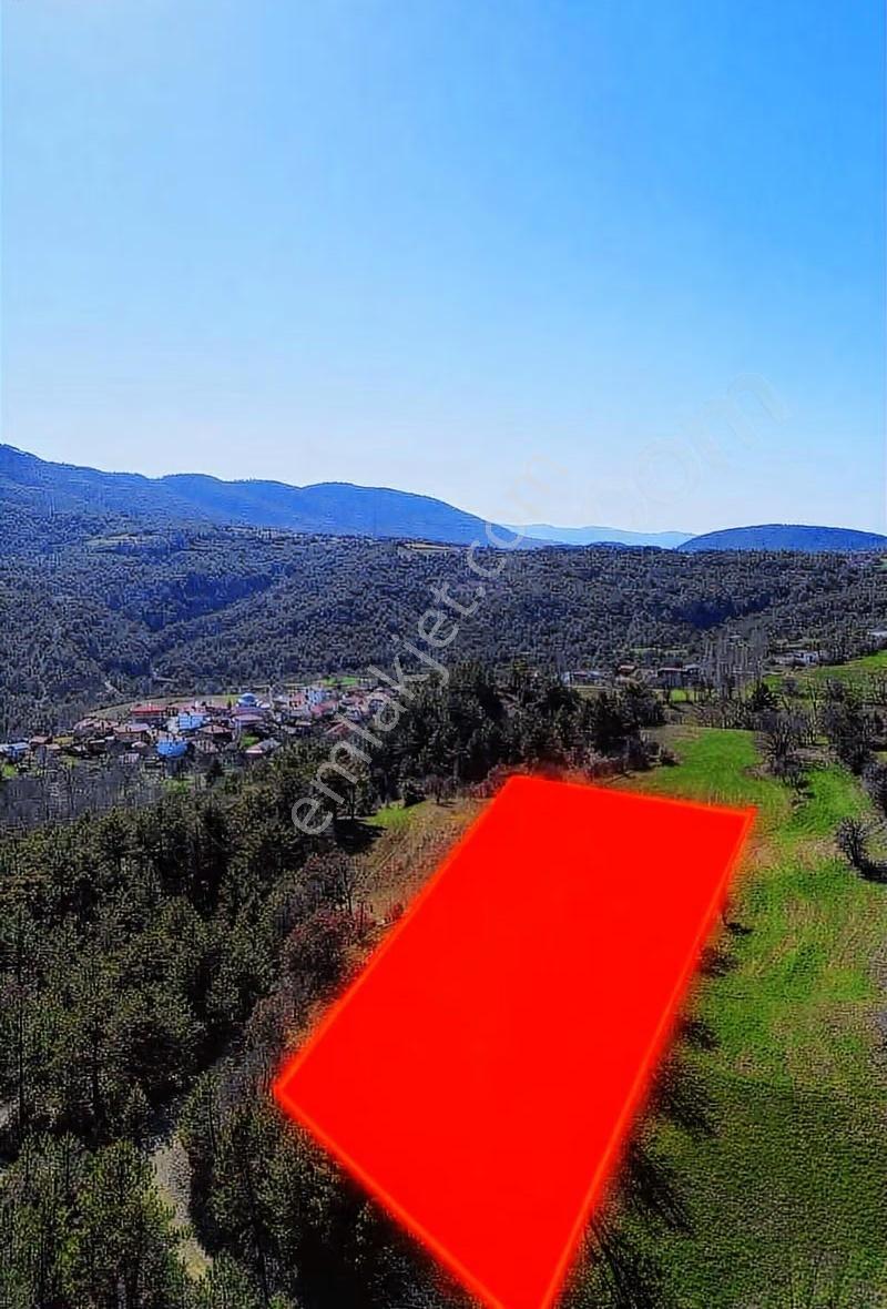 Göynük Dağşehleri Köyünde Köy Yanı 3852 M2 Satılık Arazi