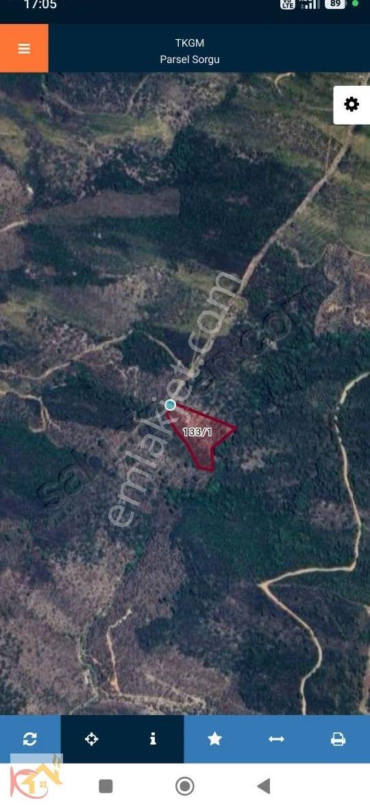 Milas Selimiye'de Satılık Zeytinlik - Görsel 5