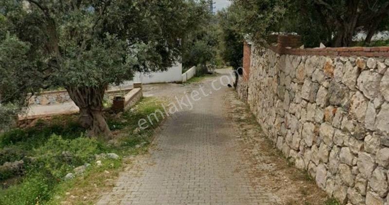 My - Gürçamlar'da Köy İçi İmarlı Arsa - Görsel 2