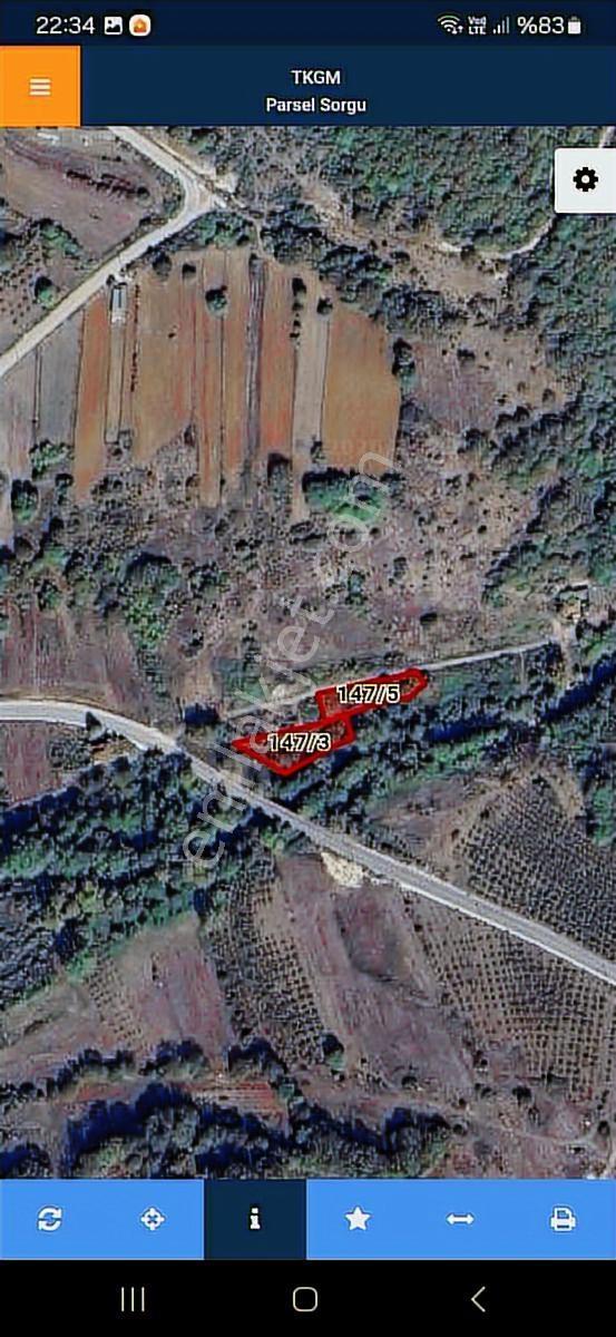 Çelik-ay'dan Kandıra Kubuzcu Satılık Yol Cepheli Tarla - Görsel 4