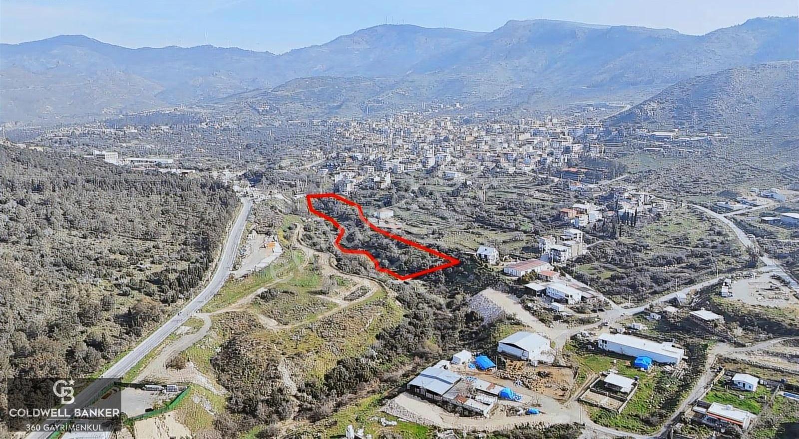 Bayraklı, Doğançay Mah. Satılık Meyve Bahçesi - Görsel 4