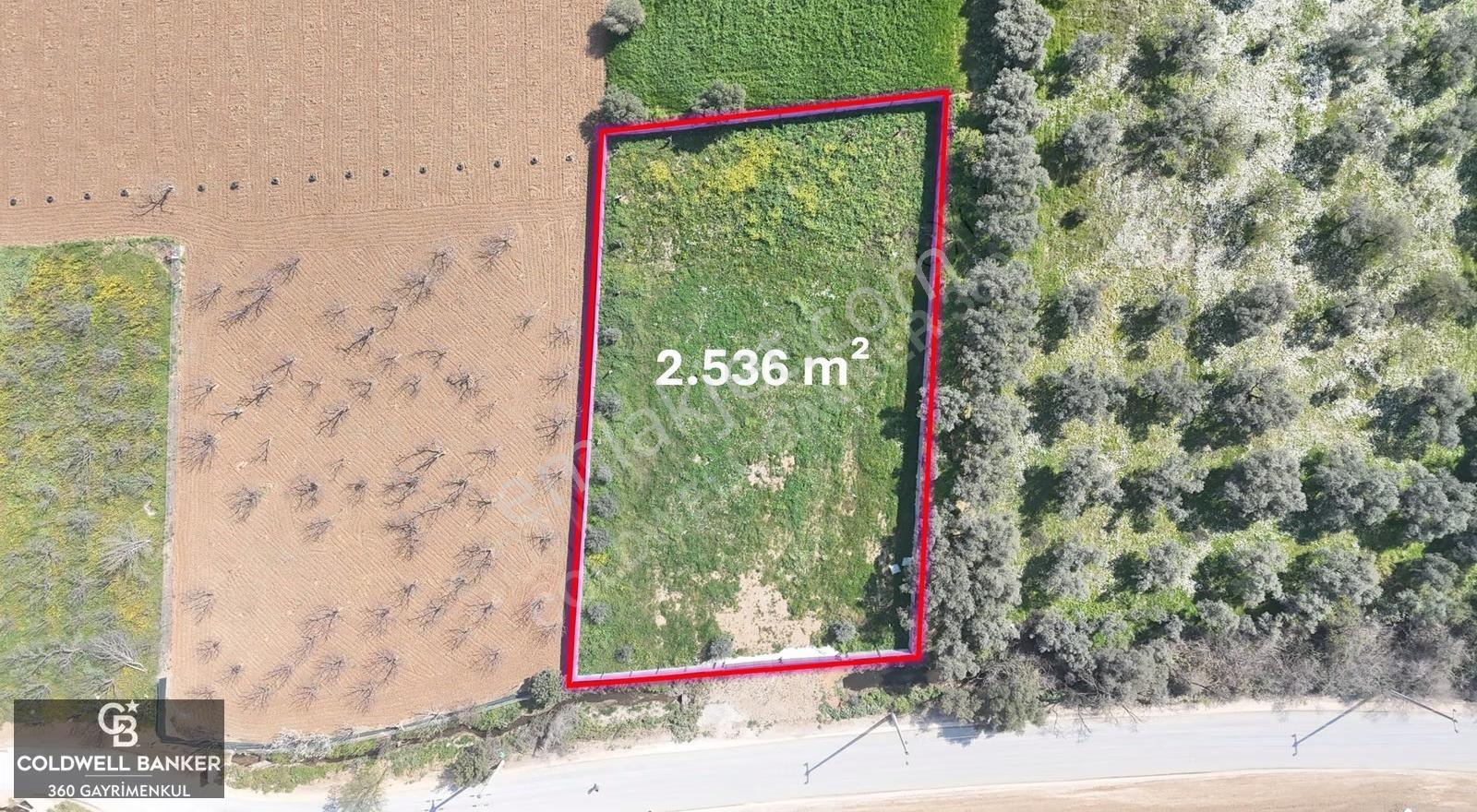 İzmir Kemalpaşa Osb Sınırı Otoyol Yakını Satılık 2536 M2 Arazi - Görsel 4