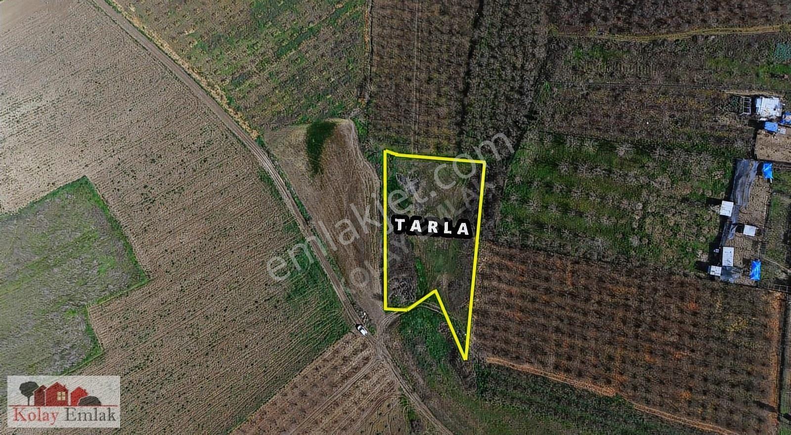 Sakarya Söğütlü Sıraköy 3460 M² Resmi Yollu Satılık Tarla - Görsel 5