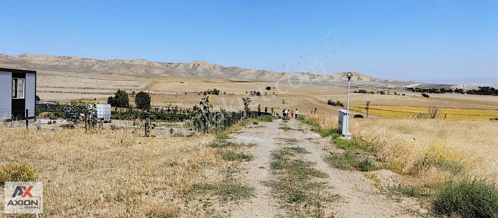 Polatlı Hacıtuğrul Satılık Hobi Bahçesi - Görsel 6