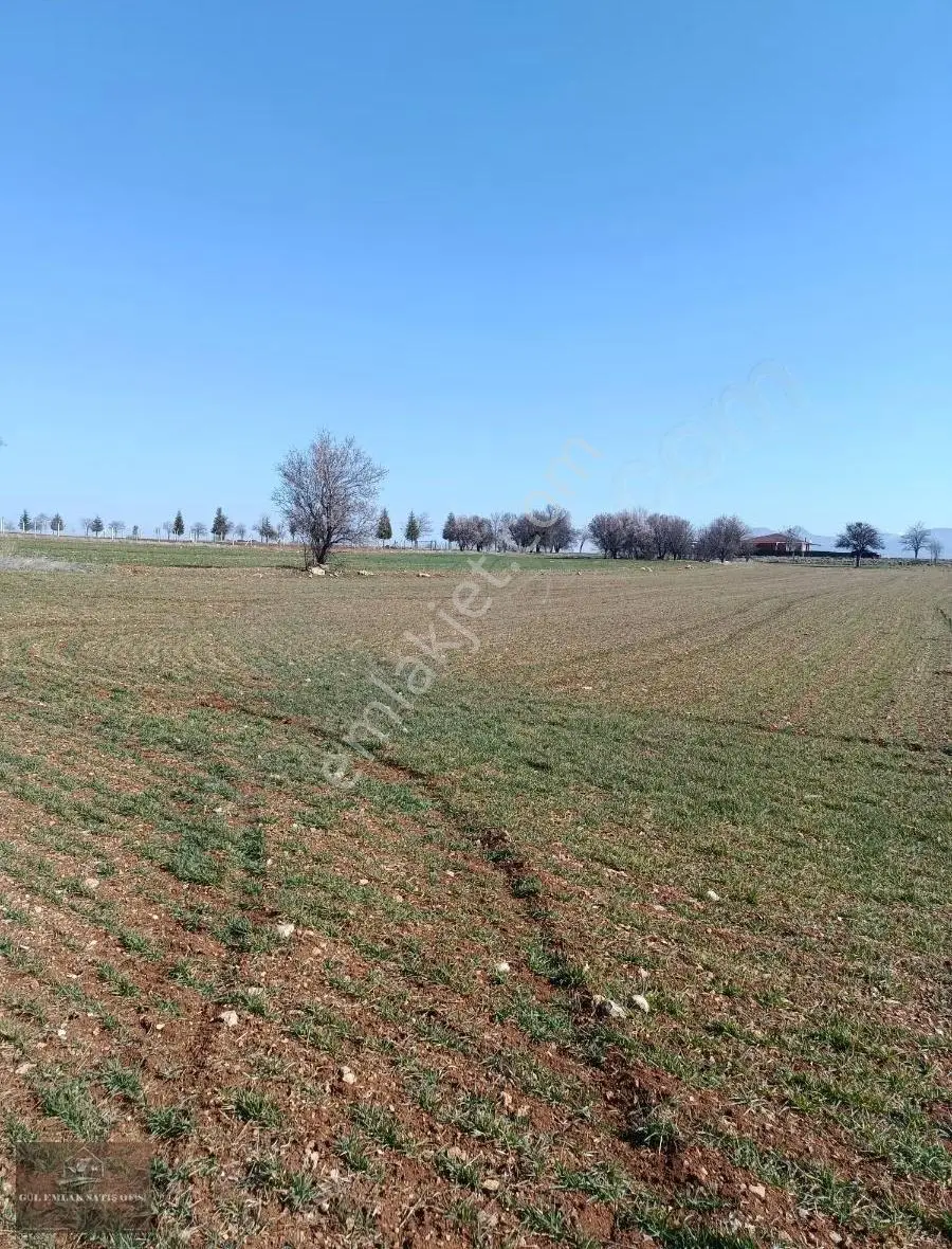 Gül Emlâktan Gökcimen Mah Satlik 13;221m2 Tarla - Görsel 5