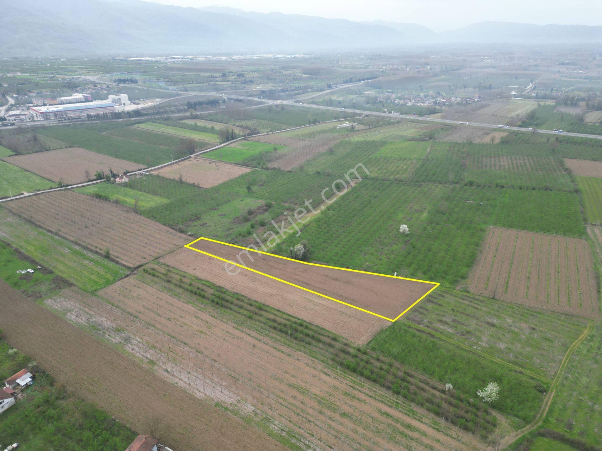 Nv Gayrimenkul'den Düzce Merkez Sinirci Köyü’nde Satılık Arazi - Görsel 19