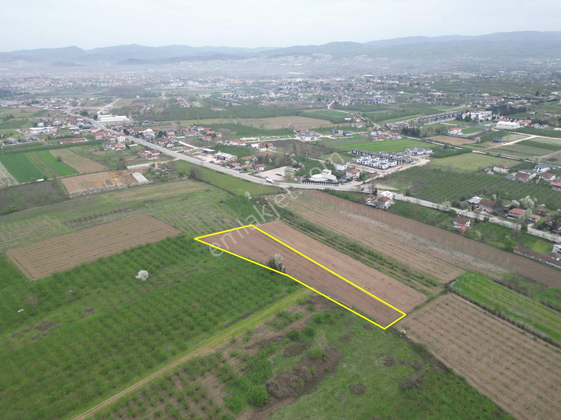 Nv Gayrimenkul'den Düzce Merkez Sinirci Köyü’nde Satılık Arazi